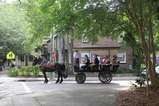 Charleston, South Carolina (2)