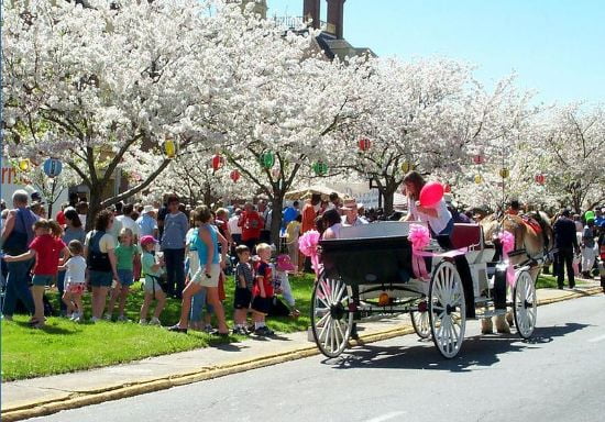 Macon Georgia