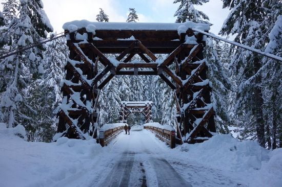 Mount Rainier National Park, Washington